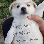 [댓글부탁해] 아리따움 모노아이즈 추천해주라ㅠㅠ