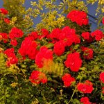 [EXO] 이거 일코 배경이야?