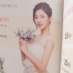 [댓글부탁해] 나 본진 때문에 롯데 <b>책자</b> 모으는데