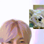 난 얘가 너무 좋다