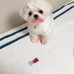 통과 버렸던 사람 <b>드러</b>와바