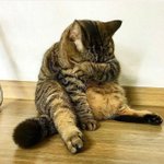 [방탄소년단] 민윤기 진짜 <b>요새</b>