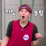 [세븐틴] <b>참새</b>뿌