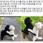 [드루와] +근데요즘에 갤럭시쓰는애들 ㄹㅇ 없지않냐