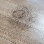 [댓글부탁해] 너네 머리 <b>말릴</b>때 이정도 빠져?