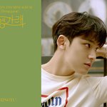 [세븐틴] 민규 나의소녀시대 합성해줘..