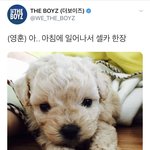 [모두드루와] 만우절에 스스로 <b>모에</b>화하는 남돌 ㅋㅋ