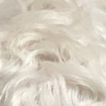 [EXO] 울집 갱얼쥐 <b>보셈</b>