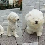[방탄소년단] 토끼파 이거보고도 <b>반박</b><b>가능</b>하냐