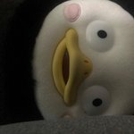[댓글부탁해] <b>펭수</b> 인형 안고 자는데
