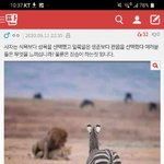 [댓글부탁해] <b>정원</b>