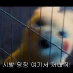 [이것좀봐줘] 얘들아 영어 ㅈㅂ 벼락치기 법 좀 제발