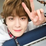 엔 시 티 재 현 ?