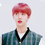 아니 얘 진짜 동글동글해