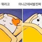 [댓글부탁해] 무리에서 튕겨져서 <b>전학</b>가려고 하는데