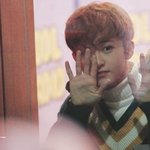 [NCT] <b>오웅</b> 마크애옹