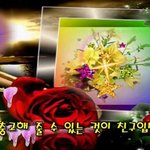 [10대의성] 미국은 대부분 <b>탐폰</b>쓰나봄