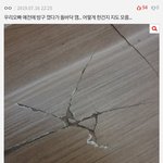 살다살다 네이트판 댓글을 다 <b>도용</b>당하네