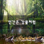 [조언과댓글] 인간은 <b>강물</b>처럼~