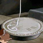 식단으로 50에서 45까지 감량하고 유지중! 궁금한거 <b>무러</b>봐