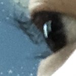 [이것좀봐줘] 얘들아 루이본 <b>뷰러</b> 전나 좋다 싀발