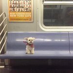 [방탄소년단] 정국이 <b>목격</b> 사진 봄?