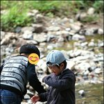 본진 하찮은 짤 올리고 가라