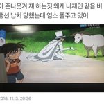 [NCT] 엔시티 웃긴짤이나 <b>캐해</b>짤 뿌려주라ㅠㅠ