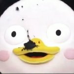 [모두드루와] 펭귄 최초로 군대가는 아이돌