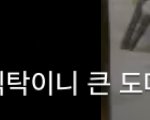 [NCT] 아닠ㅋㅋㅋㅋㅋ애들식탁ㅋㅋㅋㅋ