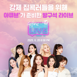 트와 아큐브 라이브 이벤트