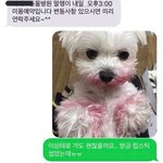 [댓글부탁해] 야 나 구라안치고 팔뚝살이랑