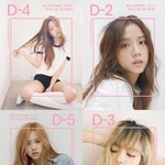 블랙핑크 역대 개인 티저 포스터들