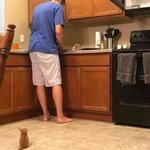 [드루와] 아이즈원 해체 후 전망