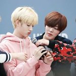 [NCT] 누가 윈윈이보고 오란고교 <b>재질</b>이래