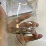 [알페스] ㅅㄷ)<b>작명</b>센스 ㅂㅌ