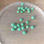 [드루와] 중딩때 만들었던 미니어쳐 토핑 <b>사진털</b>이