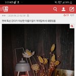 [댓글부탁해] <b>day</b>