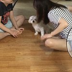 우리집 <b>개</b> <b>조카</b> 골때린다