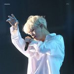 [방탄소년단] 방탄이 첫덕질이라 아닐수도 있디만...