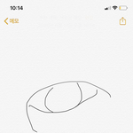 너네같으면 앞트임함??
