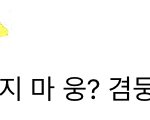 공카 댓글보다가 <b>식겁</b>함