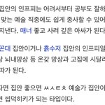 금수저 <b>infp</b> 흙수저 <b>infp</b>