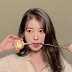 인생쿠션 ㅊㅊ 좀