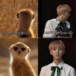 <b>별명</b>이 곡식인 아이돌