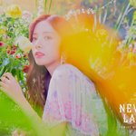 <b>무인</b>도 갇혔을 때 우주소녀 멤버 반응