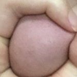 와 나 찐빵 개 커