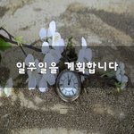 [좋은생각] 일주일을 계획합니다~