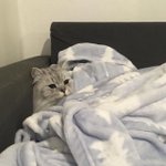 [드루와] ㅈㄴ부럽다 진짜