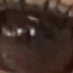 [19] 아니 이 사진 ㄹ